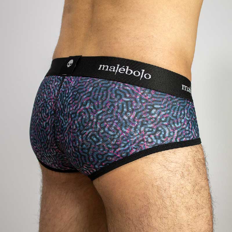 brief bio vista posterior