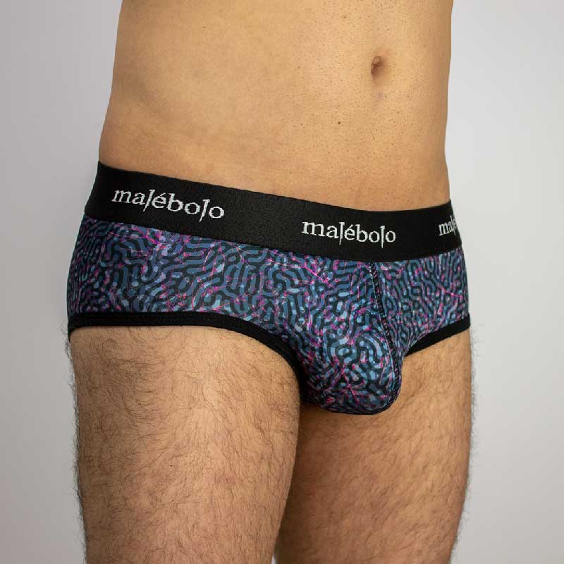 brief bio vista diagonal