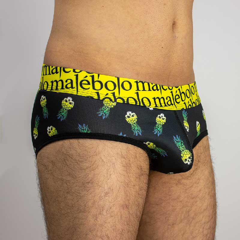 brief piñacalavera vista diagonal