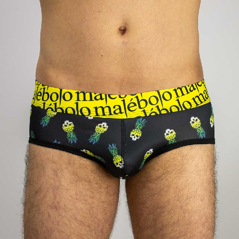 brief piñacalavera vista frente