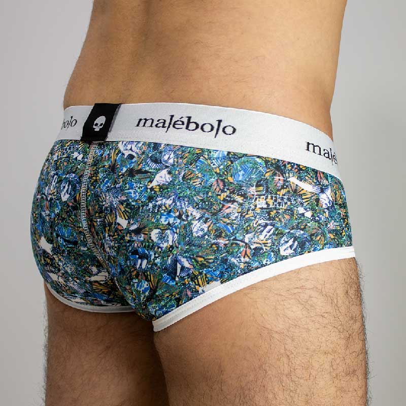 brief vivario malebolo vista posterior