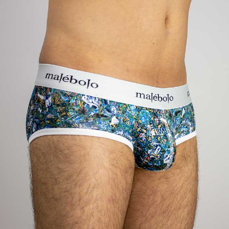 brief vivario malebolo vista diagonal